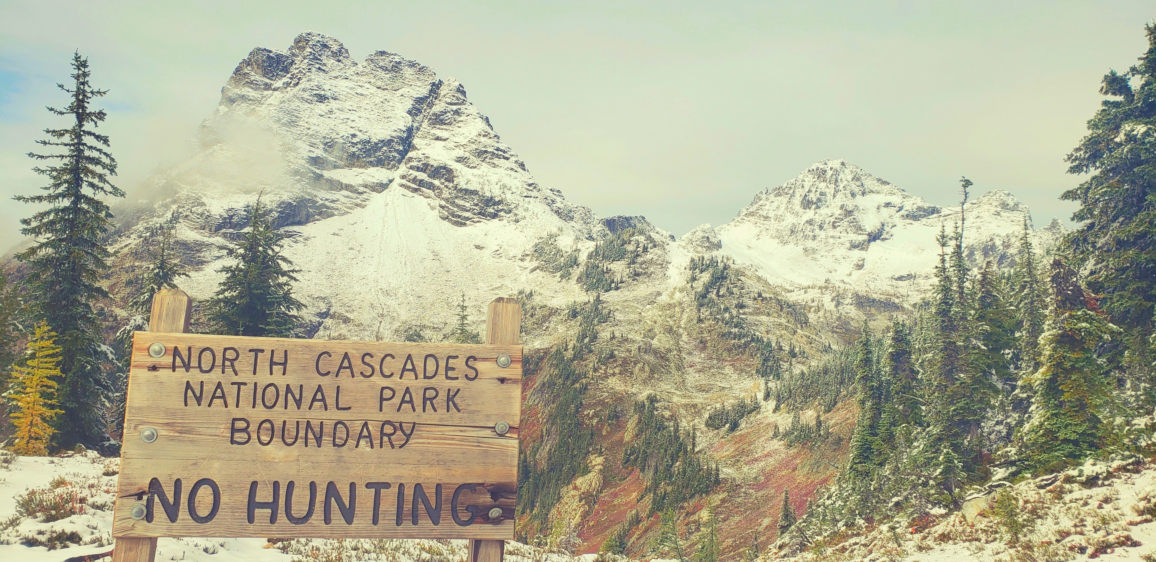 Cutthroat Pass along Hwy 20 in the North Cascades in early October. 
